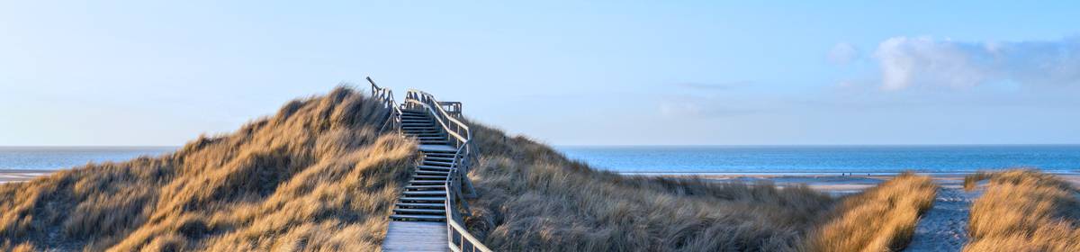 Personalentwicklung und betriebliche Bildung - analoges, digitales und hybrides Lernen: E-Learning, Seminare, Kurse, Betriebliche Bildung, Personalentwicklung, digitales Lernen, Beratung Personalentwicklung und betriebliche Bildung - analoges, digitales und hybrides Lernen: E-Learning, Seminare, Kurse, Betriebliche Bildung, Personalentwicklung, digitales Lernen, Beratung